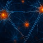 Marketing against the machine immune system